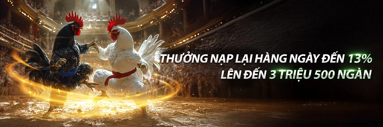 Đá Gà Trực Tiếp Thomo – Trải Nghiệm Cá Cược Đỉnh Cao